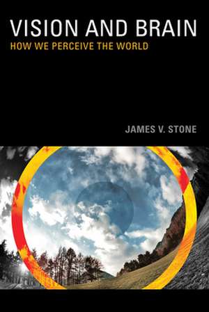 Vision and Brain – How we Perceive the World de James V. Stone