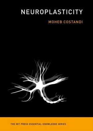 Neuroplasticity de Moheb Costandi