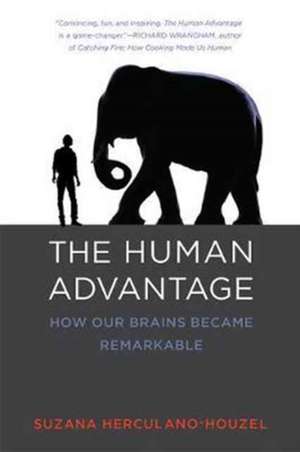 The Human Advantage – How Our Brains Became Remarkable de Suzana Herculano–houze