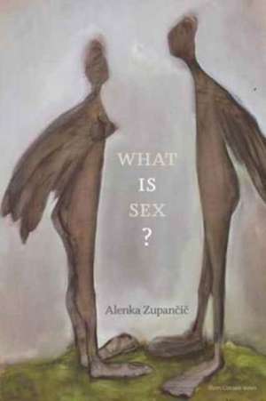 What is Sex? de Alenka Zupancic