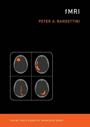 fMRI de Peter A. Bandettini