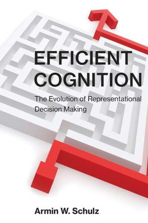 Efficient Cognition de Armin W. Schulz