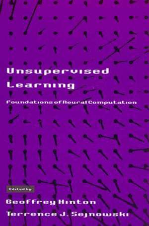 Unsupervised Learning de Geoffrey Hinton