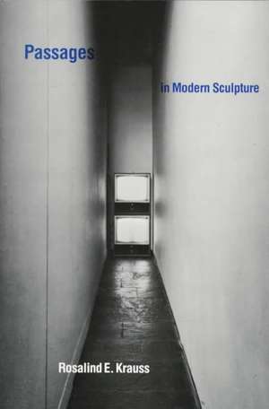 Passages in Modern Sculpture de Rosalind E. Krauss