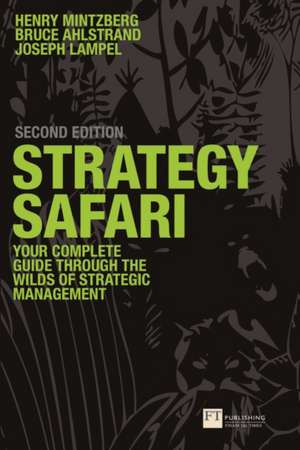 Strategy Safari Afaceri