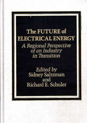 The Future of Electrical Energy: A Regional Perspective of an Industry in Transition de Sidney Saltzman