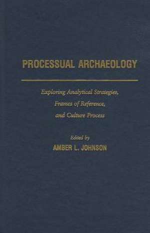 Processual Archaeology: Exploring Analytical Strategies, Frames of Reference, and Culture Process de Amber Johnson