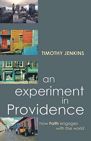 An Experiment in Providence: How Faith Engages the World de Timothy Jenkins