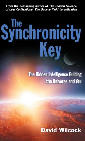 The Synchronicity Key: The Hidden Intelligence Guiding the Universe and You de David Wilcock