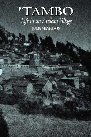 Tambo: Life in an Andean Village de Julia Meyerson