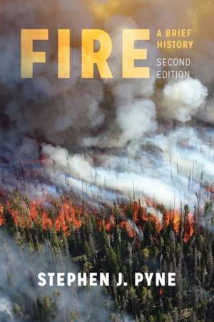 Fire – A Brief History de Stephen J. Pyne