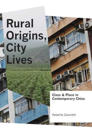 Rural Origins, City Lives – Class and Place in Contemporary China de Roberta Zavoretti