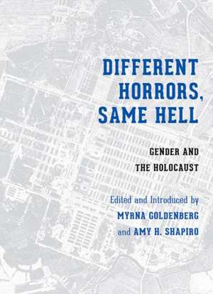 Different Horrors, Same Hell – Gender and the Holocaust de Myrna Goldenberg