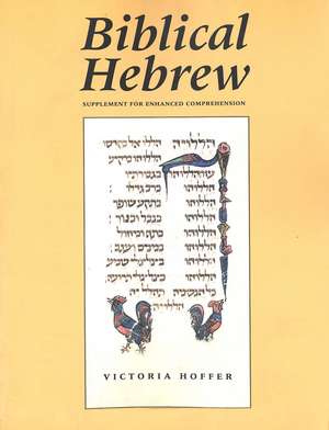 Biblical Hebrew, Second Ed. (Supplement for Advanced Comprehension) de Victoria Hoffer