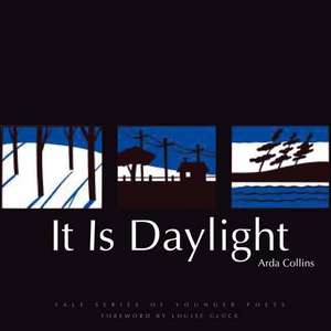 It Is Daylight de Arda Collins