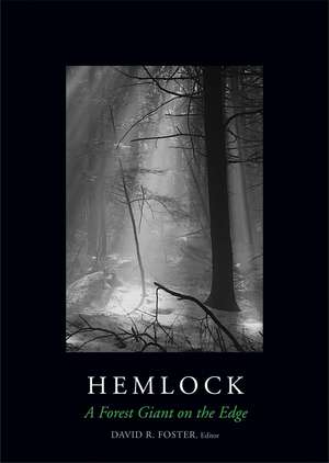 Hemlock: A Forest Giant on the Edge de David R. Foster