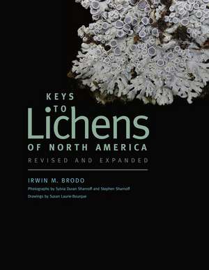 Keys to Lichens of North America: Revised and Expanded de Irwin M. Brodo