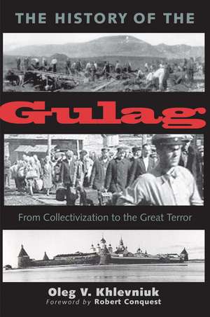 The History of the Gulag: From Collectivization to the Great Terror de Oleg Khlevniuk