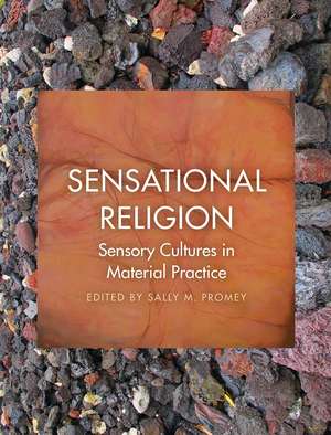 Sensational Religion: Sensory Cultures in Material Practice de Sally M. Promey