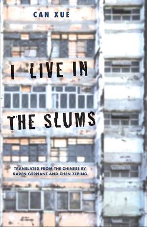 I Live in the Slums: Stories de Can Xue