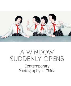 A Window Suddenly Opens: Contemporary Photography in China de Melissa Chiu