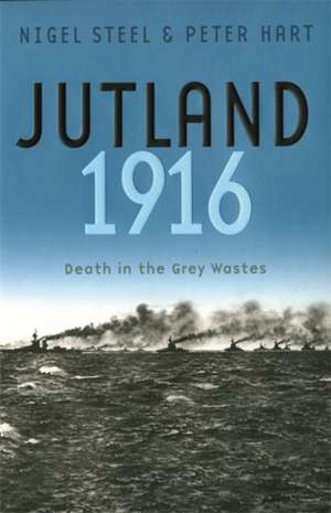 Jutland, 1916 de Nigel Steel