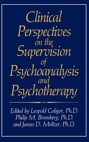 Clinical Perspectives on the Supervision of Psychoanalysis and Psychotherapy de Leopold Caligor