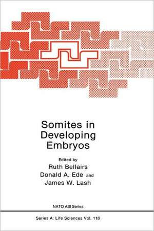 Somites in Developing Embryos de Ruth Bellairs