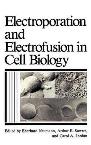 Electroporation and Electrofusion in Cell Biology de C.A. Jordan