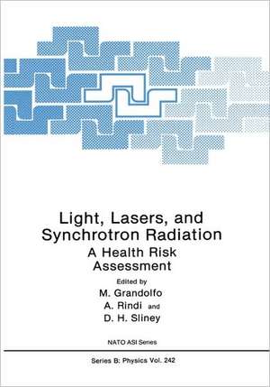 Light, Lasers, and Synchrotron Radiation: A Health Risk Assessment de Martino Grandolfo