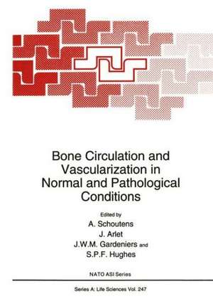 Bone Circulation and Vascularization in Normal and Pathological Conditions: The Prognosis of Energy and Mineral Resouces de A. Schoutens