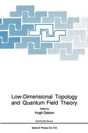 Low-Dimensional Topology and Quantum Field Theory de Hugh Osborn