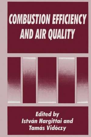 Combustion Efficiency and Air Quality de Tamas Vidoczy