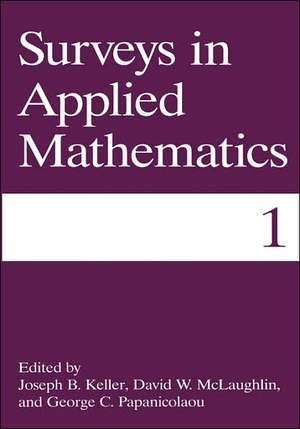 Surveys in Applied Mathematics de Joseph B. Keller