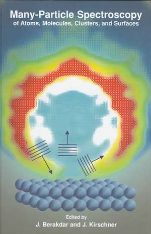 Many-Particle Spectroscopy of Atoms, Molecules, Clusters, and Surfaces de J. Berakdar