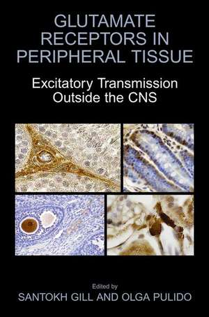 Glutamate Receptors in Peripheral Tissue: Excitatory Transmission Outside the CNS de Santokh Gill