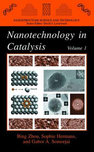 Nanotechnology in Catalysis de Bing Zhou