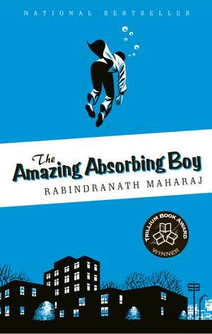 The Amazing Absorbing Boy de Rabindranath Maharaj