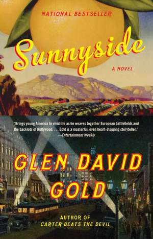 Sunnyside de Glen David Gold