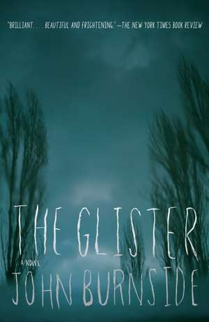 The Glister: A Short Book about Darwin, Lincoln, and Modern Life de John Burnside