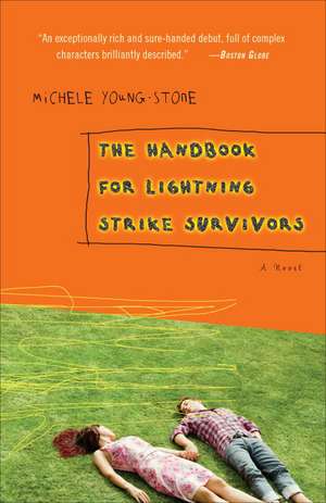 The Handbook for Lightning Strike Survivors de Michele Young-Stone