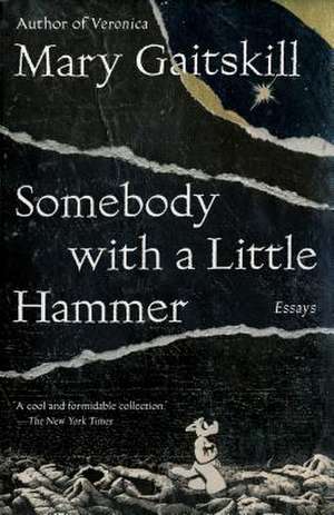 Somebody with a Little Hammer de Mary Gaitskill