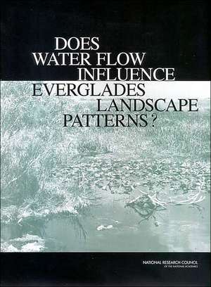 Does Water Flow Influence Everglades Landscape Patterns? de National Research Council