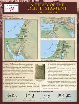 A Survey of the Old Testament Laminated Sheet de John H. Walton