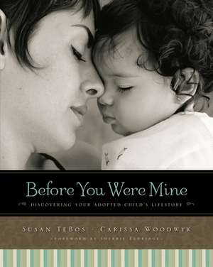 Before You Were Mine: Discovering Your Adopted Child’s Lifestory de Susan TeBos