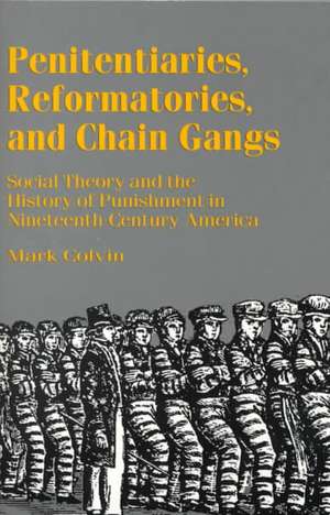 Penitentiaries, Reformatories, and Chain Gangs: Social Theory and the History of Punishment in Nineteenth-Century America de M. Colvin