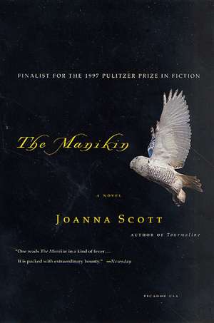 The Manikin de Joanna Scott