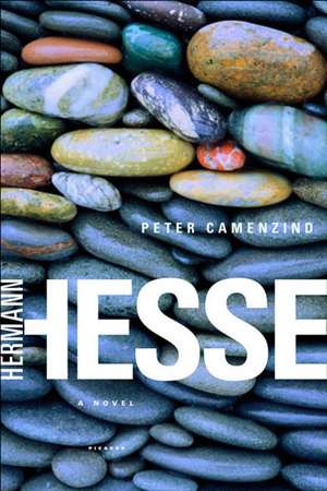 Peter Camenzind de Hermann Hesse