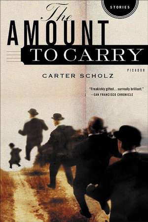 The Amount to Carry: Stories de Carter Scholz