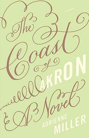 The Coast of Akron de ADRIENNE MILLER